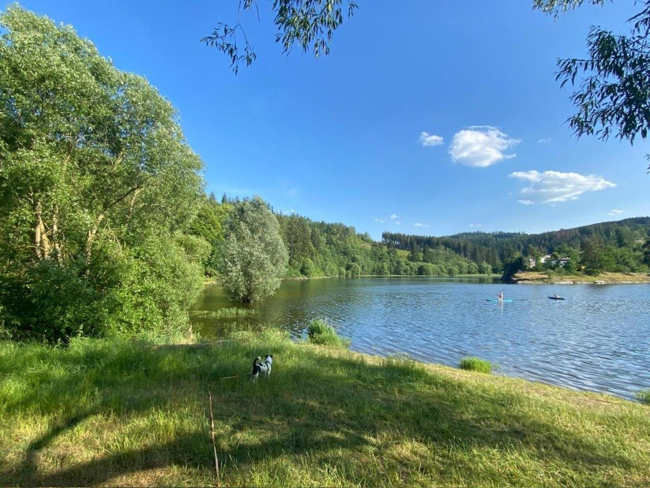 Pension Und Ferienwohnung Am Teich Шляйц Екстер'єр фото