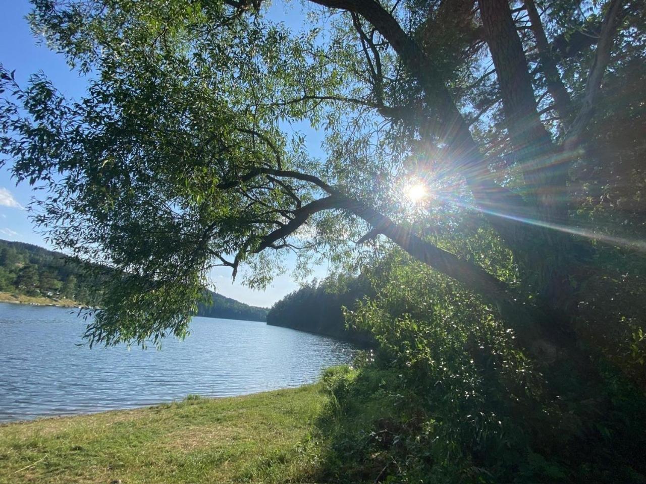 Pension Und Ferienwohnung Am Teich Шляйц Екстер'єр фото