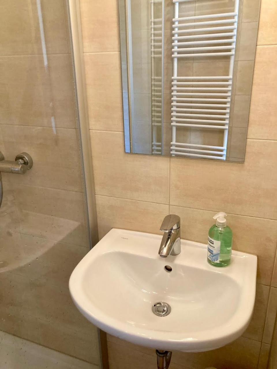 Pension Und Ferienwohnung Am Teich Шляйц Екстер'єр фото